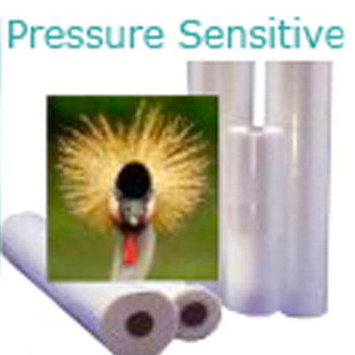 Pressure Sensitive Cold Films